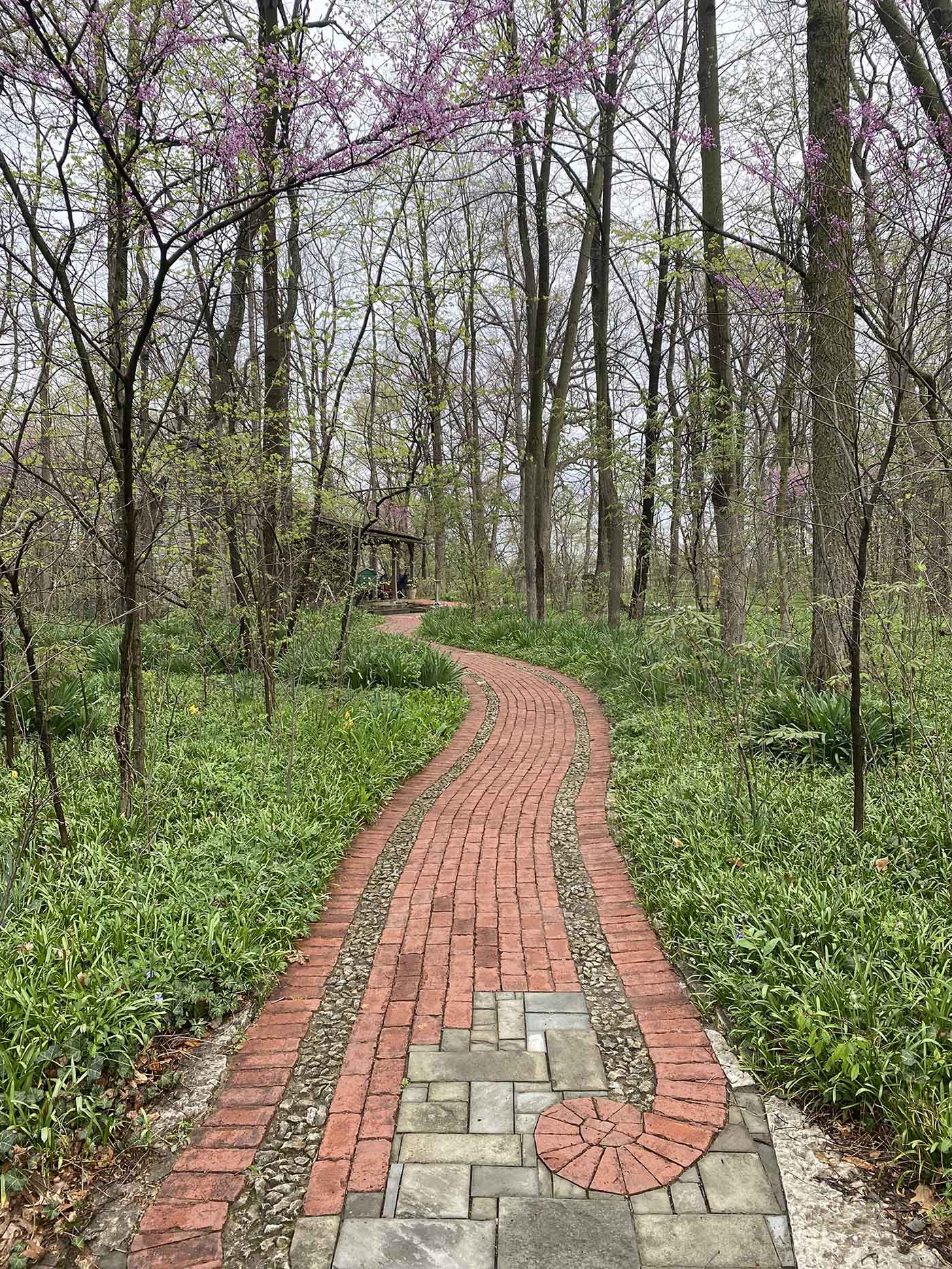 photo-garden-path-taken-in-muncie-april